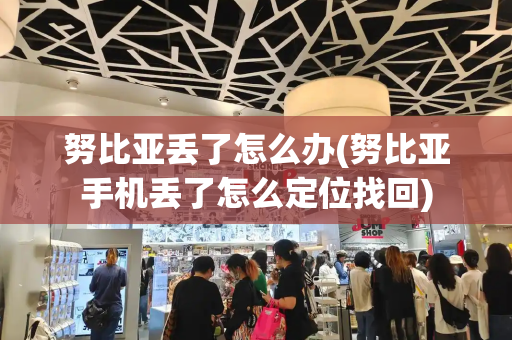 努比亚丢了怎么办(努比亚手机丢了怎么定位找回)