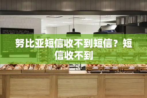 努比亚短信收不到短信？短信收不到