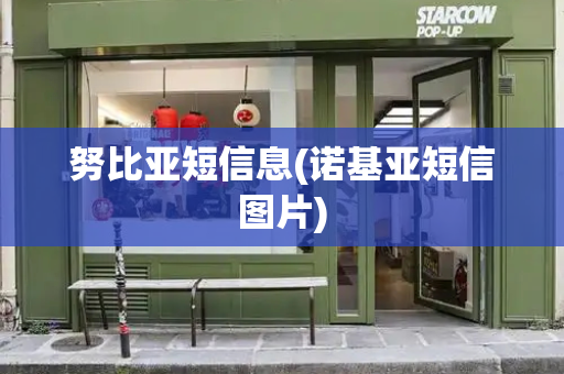 努比亚短信息(诺基亚短信图片)-第1张图片-星选测评