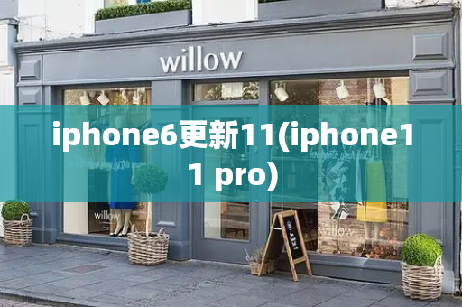 iphone6更新11(iphone11 pro)