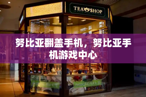 努比亚翻盖手机，努比亚手机游戏中心