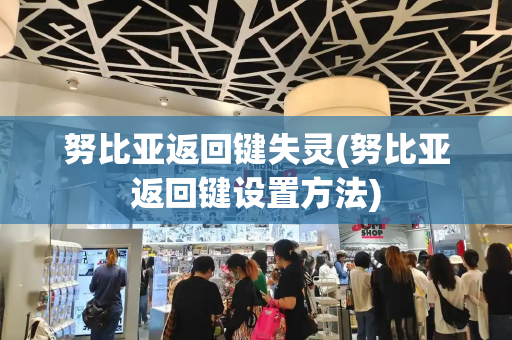 努比亚返回键失灵(努比亚返回键设置方法)-第1张图片-星选测评