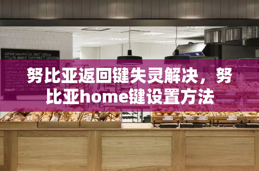 努比亚返回键失灵解决，努比亚home键设置方法