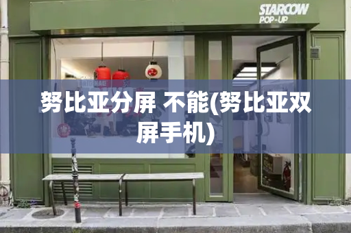 努比亚分屏 不能(努比亚双屏手机)-第1张图片-星选测评