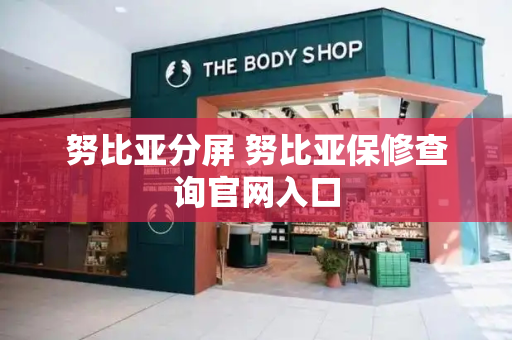 努比亚分屏 努比亚保修查询官网入口