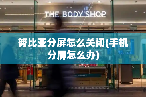努比亚分屏怎么关闭(手机分屏怎么办)-第1张图片-星选测评