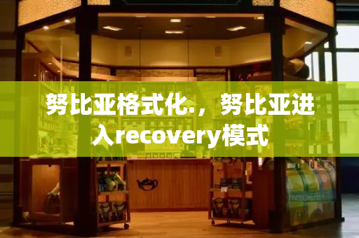 努比亚格式化.，努比亚进入recovery模式