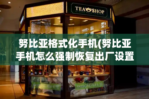 努比亚格式化手机(努比亚手机怎么强制恢复出厂设置)-第1张图片-星选测评