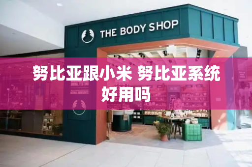 努比亚跟小米 努比亚系统好用吗-第1张图片-星选测评