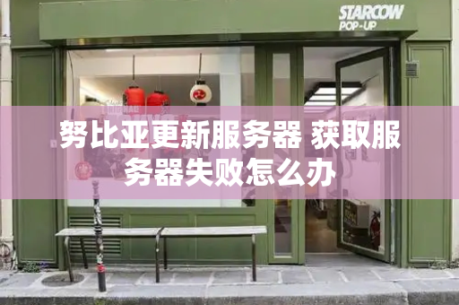 努比亚更新服务器 获取服务器失败怎么办