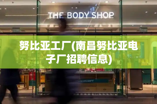 努比亚工厂(南昌努比亚电子厂招聘信息)