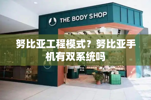 努比亚工程模式？努比亚手机有双系统吗-第1张图片-星选测评