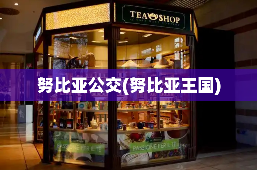 努比亚公交(努比亚王国)-第1张图片-星选测评