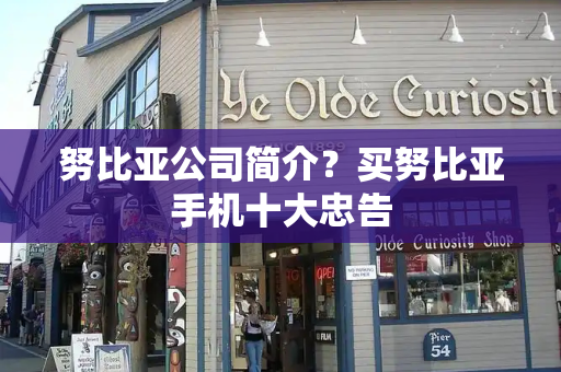 努比亚公司简介？买努比亚手机十大忠告