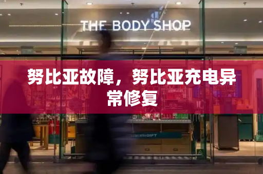 努比亚故障，努比亚充电异常修复