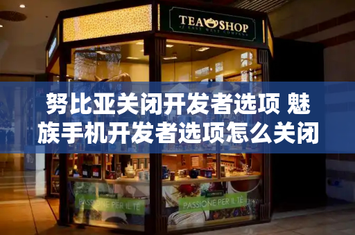 努比亚关闭开发者选项 魅族手机开发者选项怎么关闭