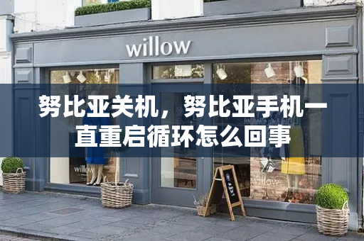 努比亚关机，努比亚手机一直重启循环怎么回事