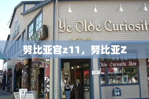 努比亚官z11，努比亚Z-第1张图片-星选测评