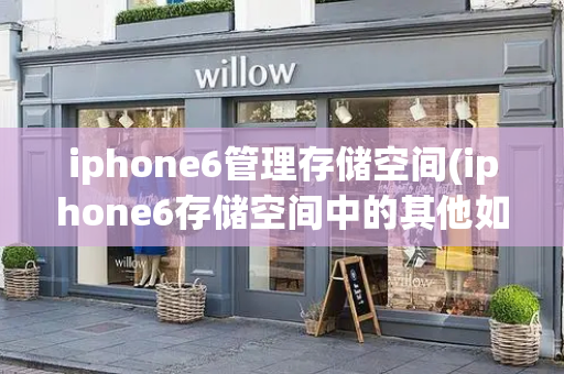 iphone6管理存储空间(iphone6存储空间中的其他如何清理)