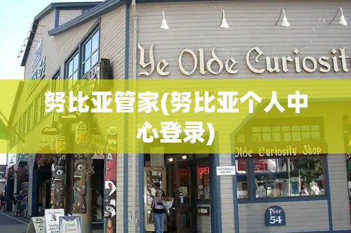努比亚管家(努比亚个人中心登录)