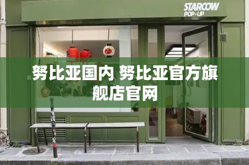 努比亚国内 努比亚官方旗舰店官网