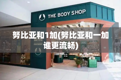 努比亚和1加(努比亚和一加谁更流畅)-第1张图片-星选测评