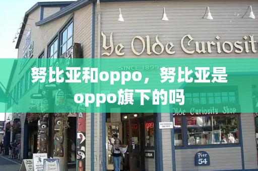 努比亚和oppo，努比亚是oppo旗下的吗