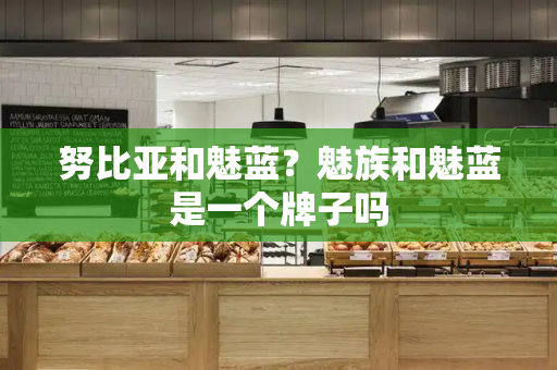 努比亚和魅蓝？魅族和魅蓝是一个牌子吗-第1张图片-星选测评