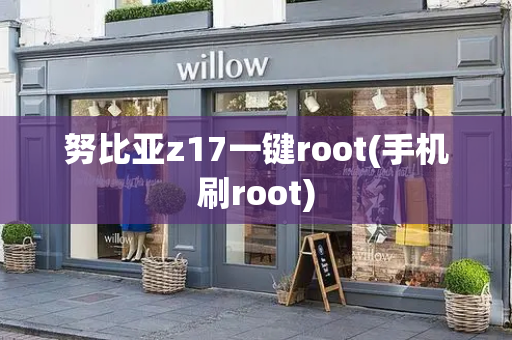 努比亚z17一键root(手机刷root)-第1张图片-星选测评