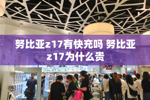 努比亚z17有快充吗 努比亚z17为什么贵-第1张图片-星选测评