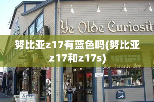努比亚z17有蓝色吗(努比亚z17和z17s)-第1张图片-星选测评