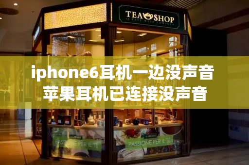 iphone6耳机一边没声音 苹果耳机已连接没声音-第1张图片-星选测评