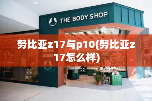 努比亚z17与p10(努比亚z17怎么样)