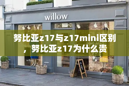 努比亚z17与z17mini区别，努比亚z17为什么贵