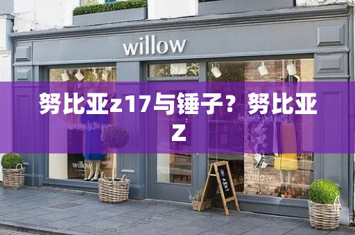 努比亚z17与锤子？努比亚Z