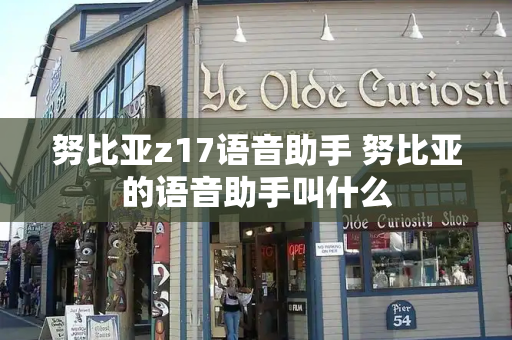努比亚z17语音助手 努比亚的语音助手叫什么