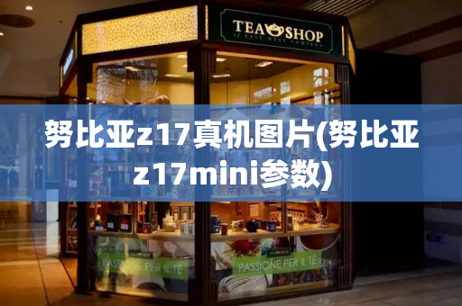 努比亚z17真机图片(努比亚z17mini参数)