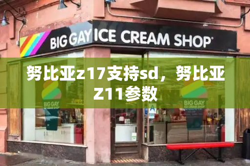 努比亚z17支持sd，努比亚Z11参数