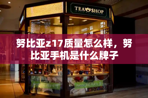 努比亚z17质量怎么样，努比亚手机是什么牌子-第1张图片-星选测评