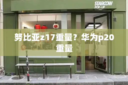 努比亚z17重量？华为p20重量-第1张图片-星选测评