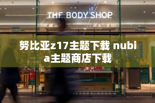 努比亚z17主题下载 nubia主题商店下载-第1张图片-星选测评
