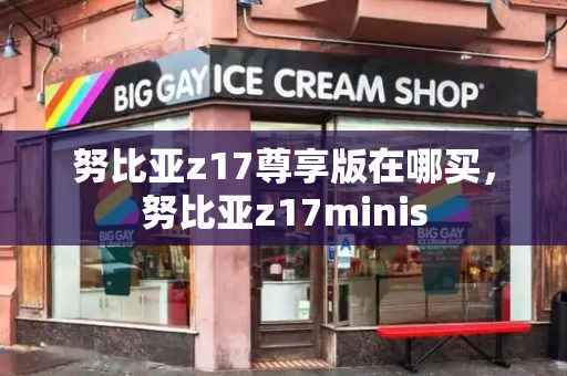 努比亚z17尊享版在哪买，努比亚z17minis-第1张图片-星选测评
