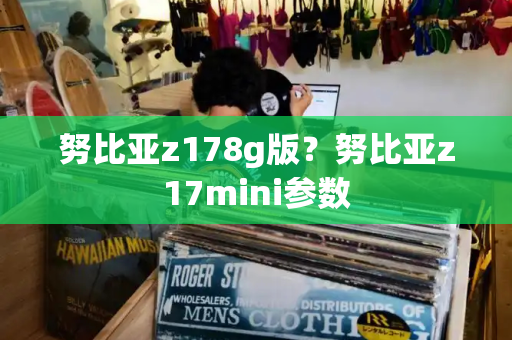 努比亚z178g版？努比亚z17mini参数