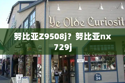 努比亚Z9508j？努比亚nx729j