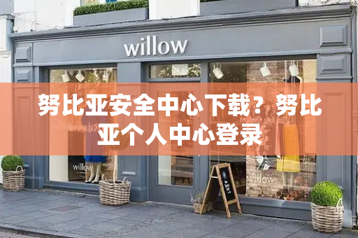 努比亚安全中心下载？努比亚个人中心登录