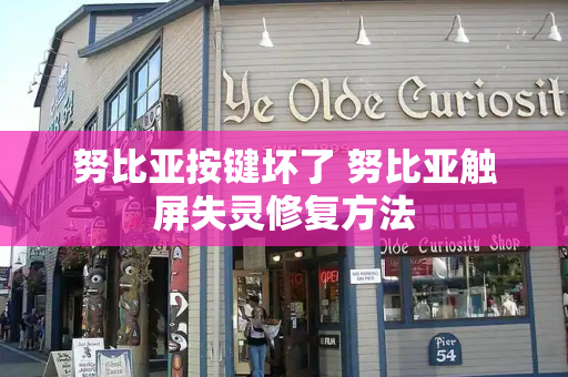 努比亚按键坏了 努比亚触屏失灵修复方法-第1张图片-星选测评