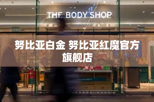 努比亚白金 努比亚红魔官方旗舰店