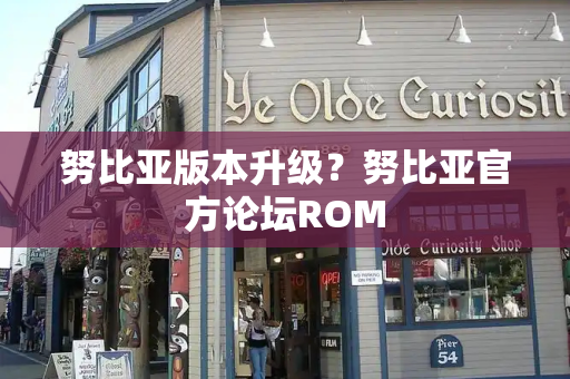 努比亚版本升级？努比亚官方论坛ROM-第1张图片-星选测评