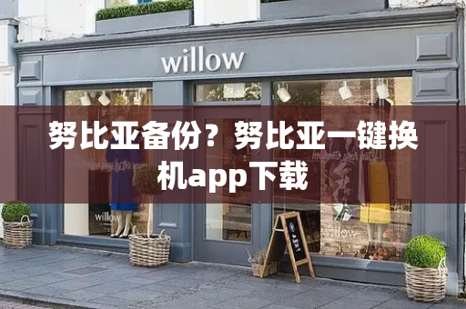 努比亚备份？努比亚一键换机app下载-第1张图片-星选测评