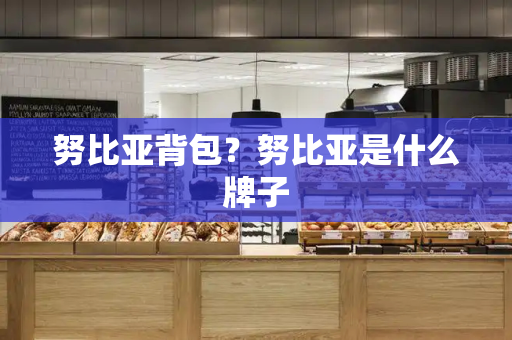 努比亚背包？努比亚是什么牌子-第1张图片-星选测评